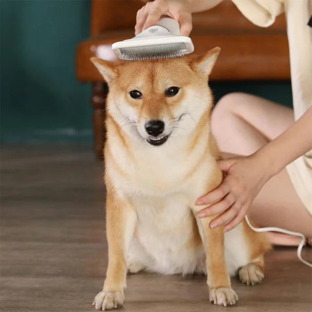 PetDry® 2 en 1 – Seca y cepilla a tu mascota al mismo tiempo